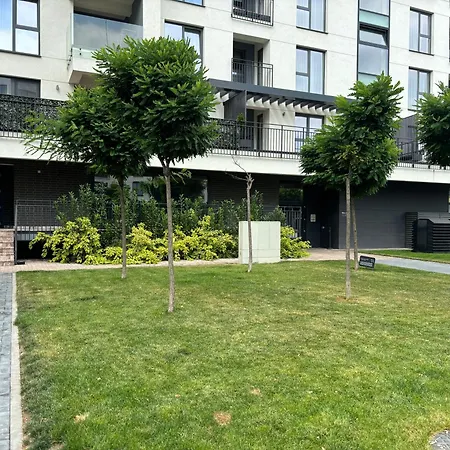 4friendscoresibrasov X Brasov